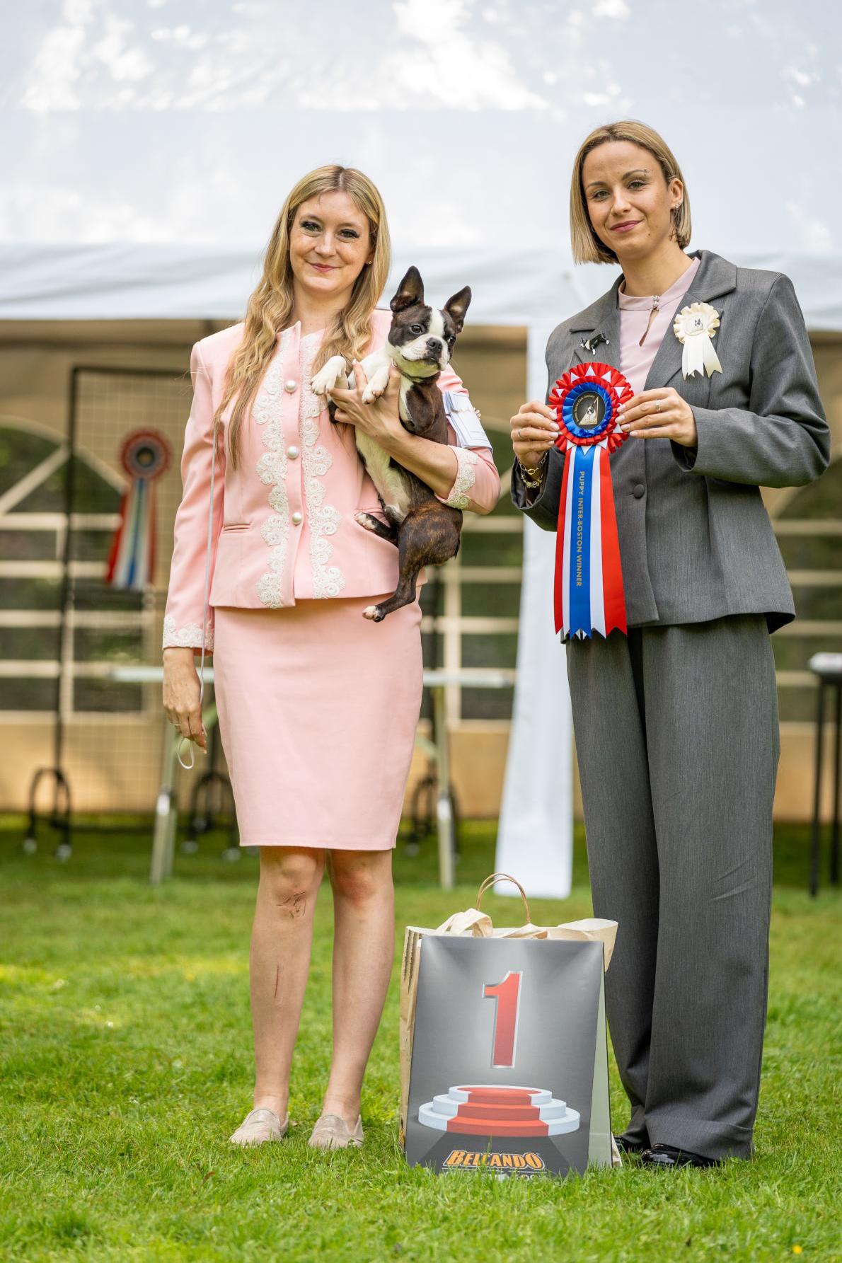 Puppy Inter-Boston Winner 2026 (Rüde)