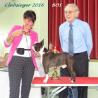 images/bildergalerie/cs2016/CS_BOS_Clubsieger_.jpg