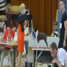 images/bildergalerie/cs2017/CBD-Club-Show-2627.8.17-009-1280x720.jpg