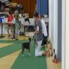 images/bildergalerie/cs2017/CBD-Club-Show-2627.8.17-039-1280x720.jpg