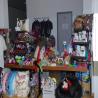 images/bildergalerie/cs2017/DSC_0012.jpg