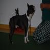 images/bildergalerie/cs2017/DSC_0048.jpg