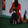 images/bildergalerie/cs2017/DSC_0052.jpg