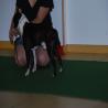 images/bildergalerie/cs2017/DSC_0059.jpg