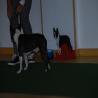 images/bildergalerie/cs2017/DSC_0068.jpg