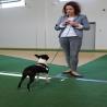 images/bildergalerie/cs2018/CW3A2594.jpg