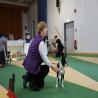 images/bildergalerie/cs2018/CW3A2887.jpg