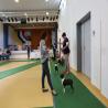 images/bildergalerie/cs2018/CW3A2938.jpg