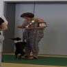 images/bildergalerie/cs2019/2jEziaBOQ5OLSixUJbtAKw_thumb_1693.jpg
