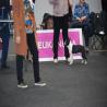 images/bildergalerie/wds2017/DSC_0006.jpg