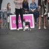 images/bildergalerie/wds2017/DSC_0008.jpg