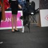 images/bildergalerie/wds2017/DSC_0016.jpg