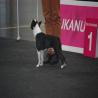 images/bildergalerie/wds2017/DSC_0021.jpg
