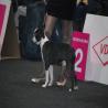 images/bildergalerie/wds2017/DSC_0026.jpg