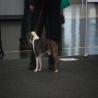 images/bildergalerie/wds2017/DSC_0029.jpg