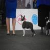 images/bildergalerie/wds2017/DSC_0041.jpg