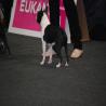 images/bildergalerie/wds2017/DSC_0049.jpg