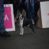 images/bildergalerie/wds2017/DSC_0051.jpg
