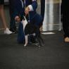 images/bildergalerie/wds2017/DSC_0052.jpg