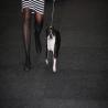 images/bildergalerie/wds2017/DSC_0063.jpg