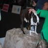 images/bildergalerie/wds2017/DSC_0067.jpg