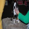 images/bildergalerie/wds2017/DSC_0071.jpg