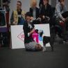 images/bildergalerie/wds2017/DSC_0075.jpg