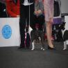 images/bildergalerie/wds2017/DSC_0082.jpg