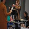 images/bildergalerie/wds2017/DSC_0095.jpg