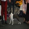 images/bildergalerie/wds2017/DSC_0101.jpg