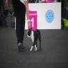 images/bildergalerie/wds2017/DSC_0107.jpg